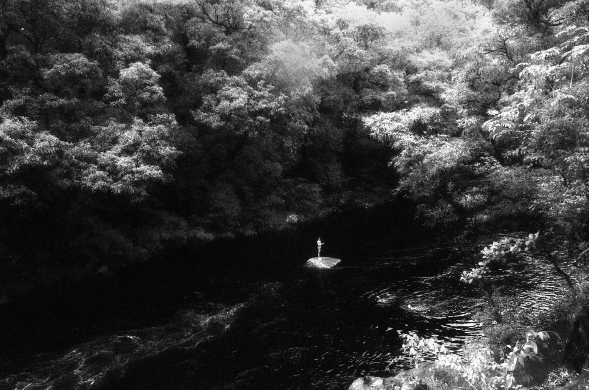 Small figure beside water in a forest